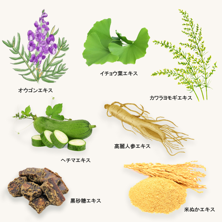 イチョウ葉エキス、カワラヨモギエキス、 オウゴンエキス、高麗人参エキス、米ぬかエキス、ヘチマエキス、黒砂糖エキス配合